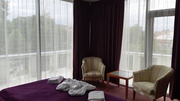 Exclusive Suite | View from room