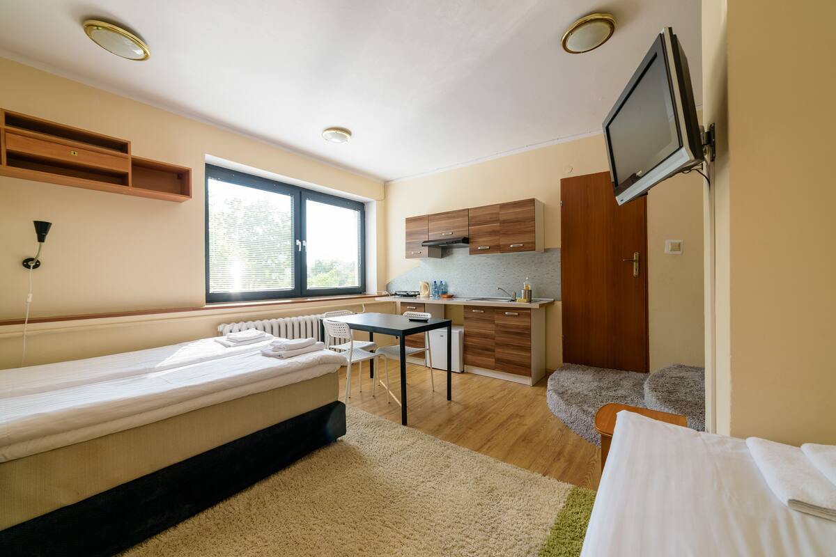 Studio, Kitchenette | Living area | TV