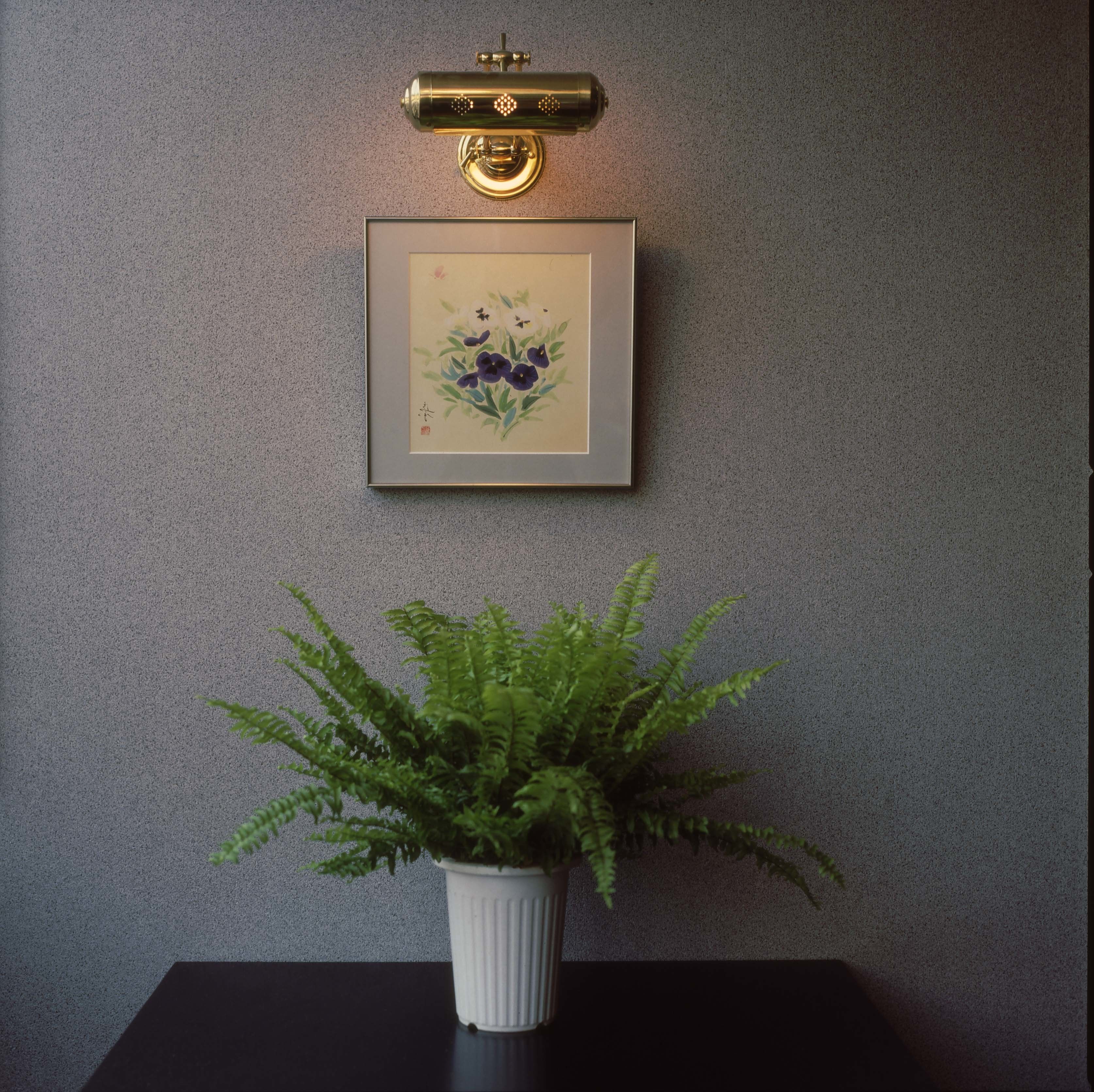 Una obra de arte enmarcadas de flores sobre una pared texturizada, un helecho en maceta abajo y un aplique en la pared.