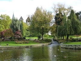 Um parque tranquilo com lago, árvores e um edifício ao longe.