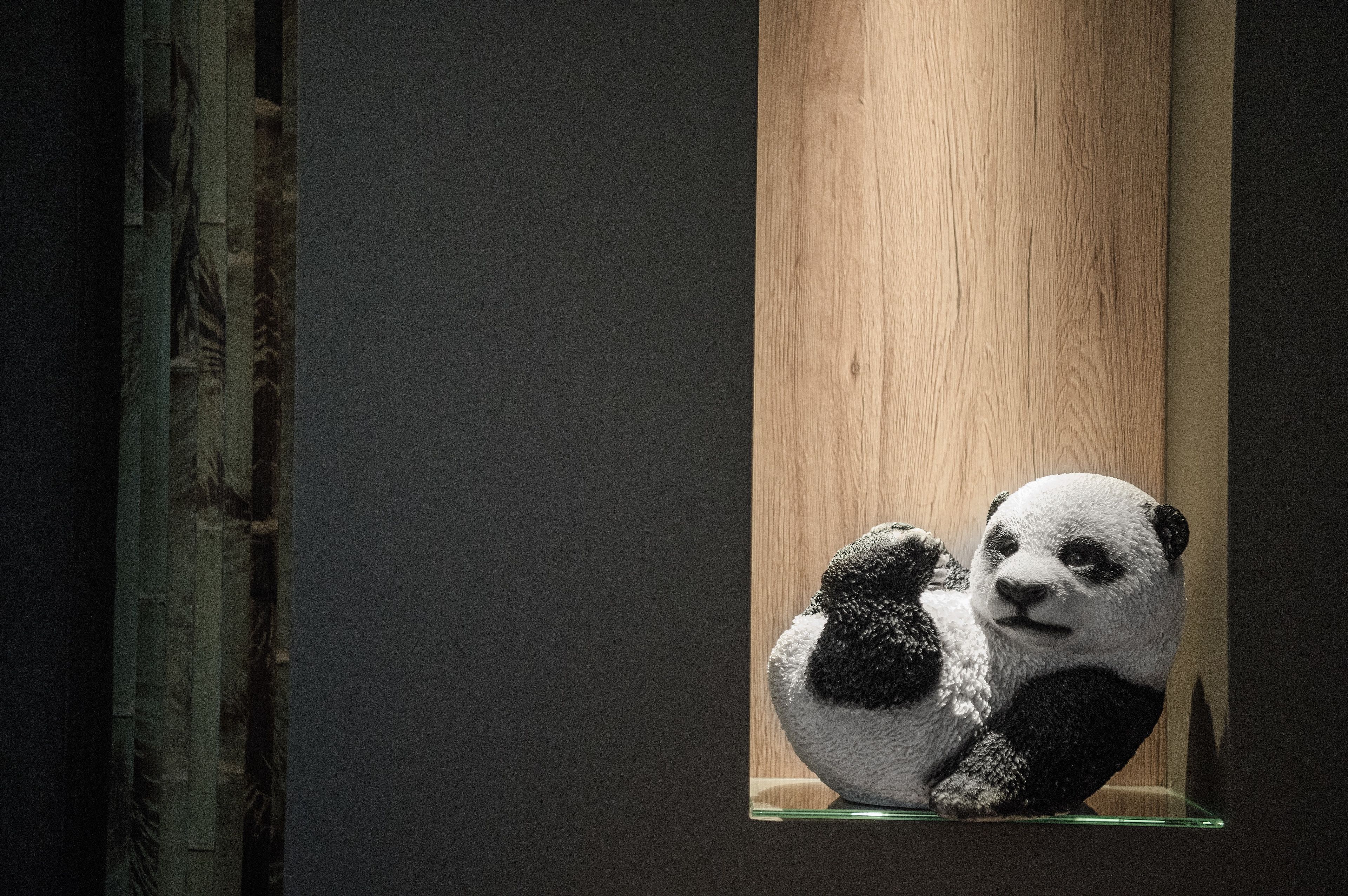 Photo - Hotel dasMEI