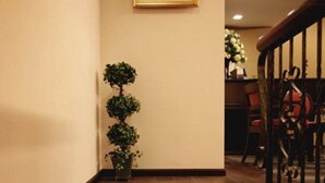 Una escalera con una planta en maceta y un cuadro colgado en la pared.