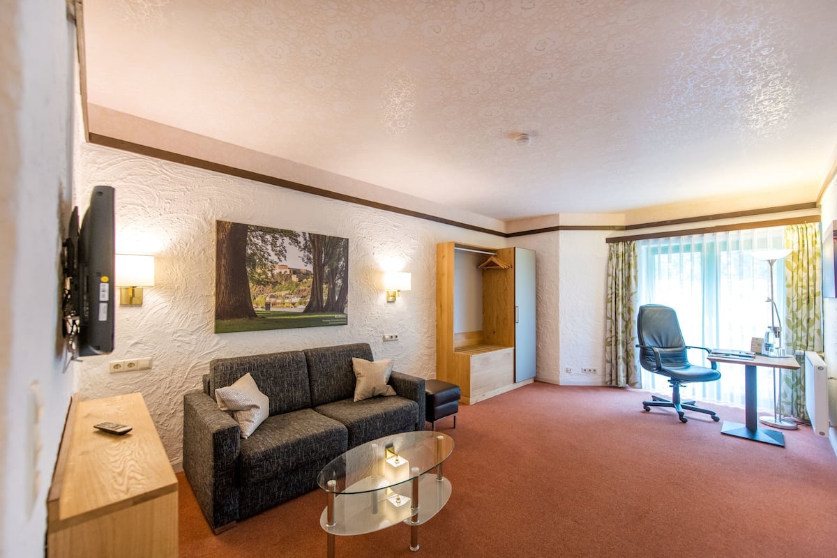 Comfort Single Room | Living area | Flat-screen TV