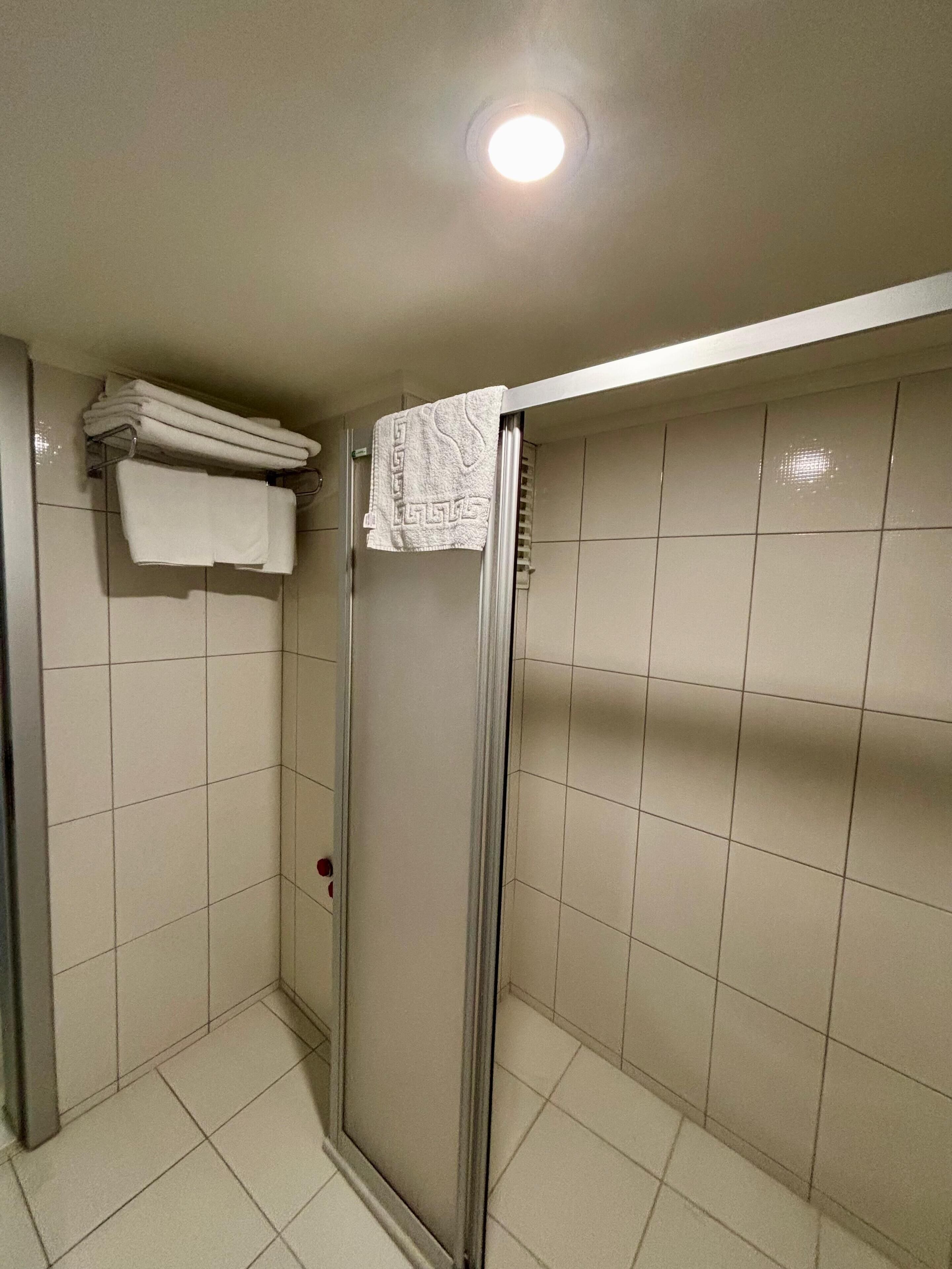 En dusch med en glasdörr, kaklade väggar och en taklampa.