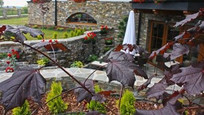 Un bâtiment en pierre avec un jardin devant, agrémenté d’un mur de pierre, de fleurs rouges et d’un parasol blanc.
