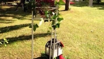 Εξωτερικός χώρος καταλύματος