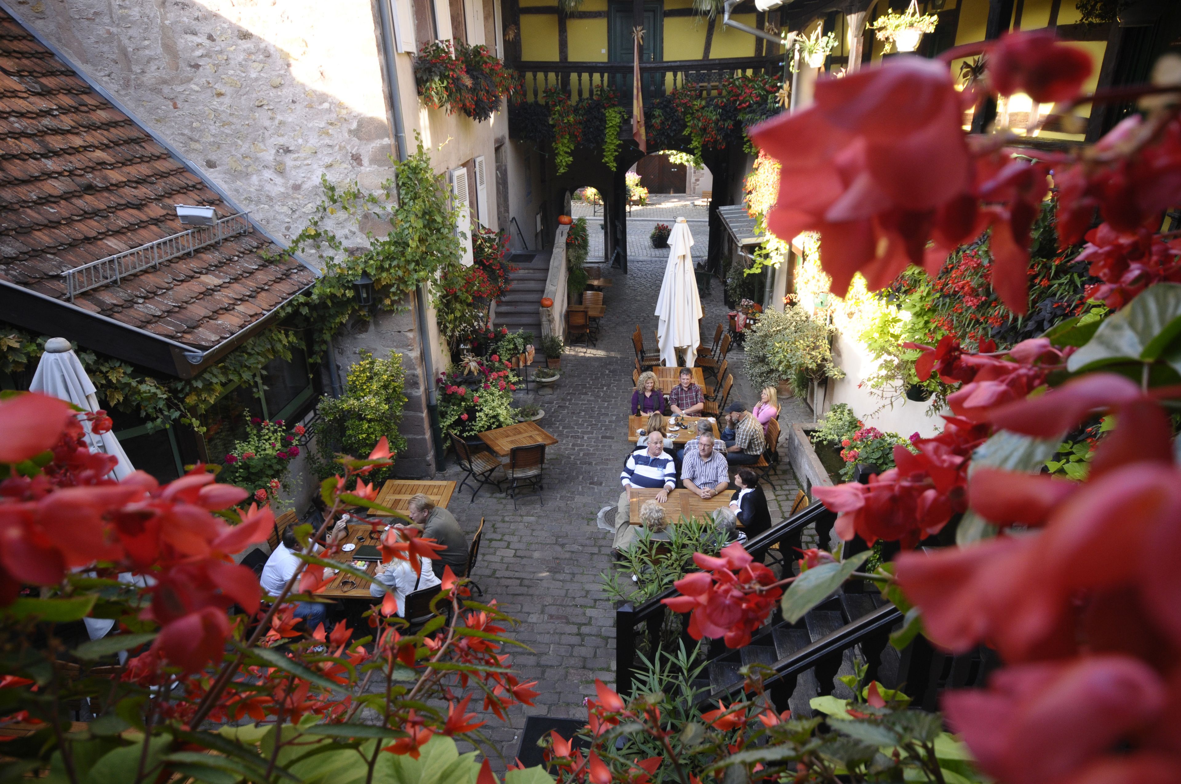 An outdoor café with tables and chairs, surrounded by potted plants and flowers.
