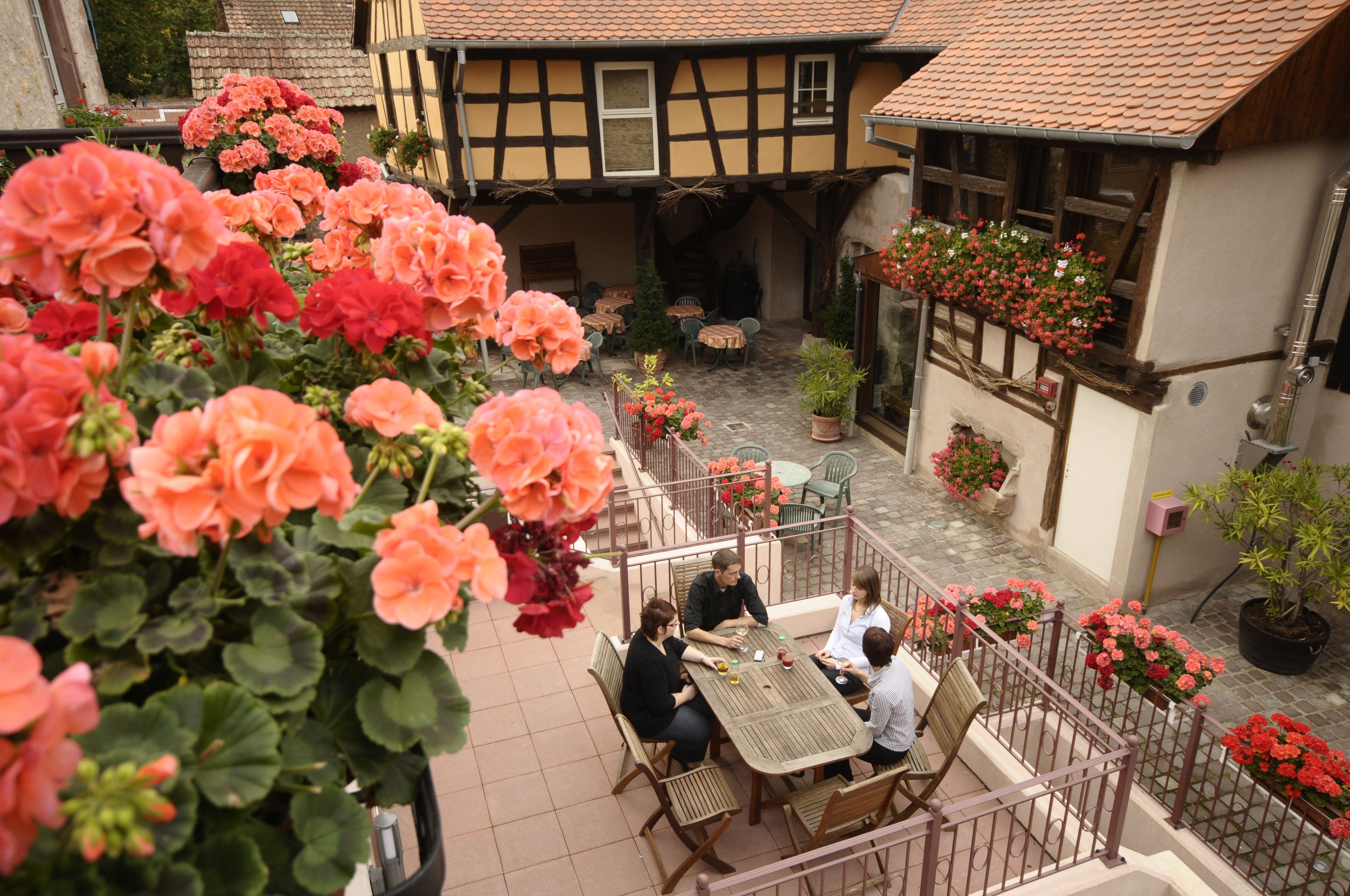 Comfort Suite | Terrace/patio