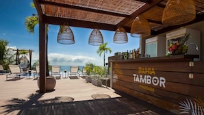 A wooden bar area with a view of the ocean, lounge chairs, and potted plants.