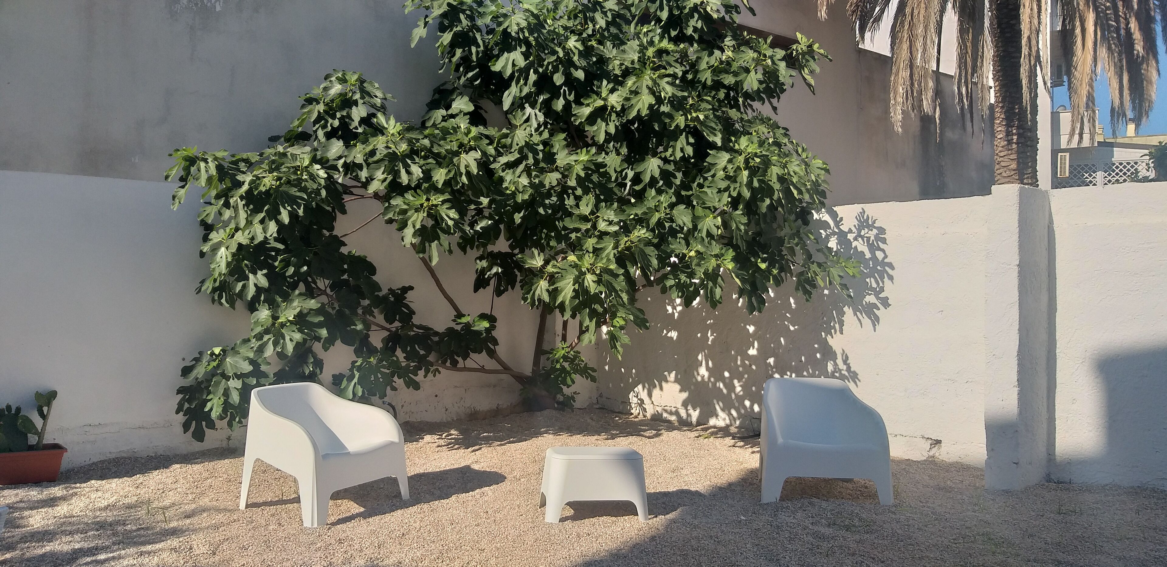 A patio area with two white plastic chairs, a small table, and a large tree providing shade.