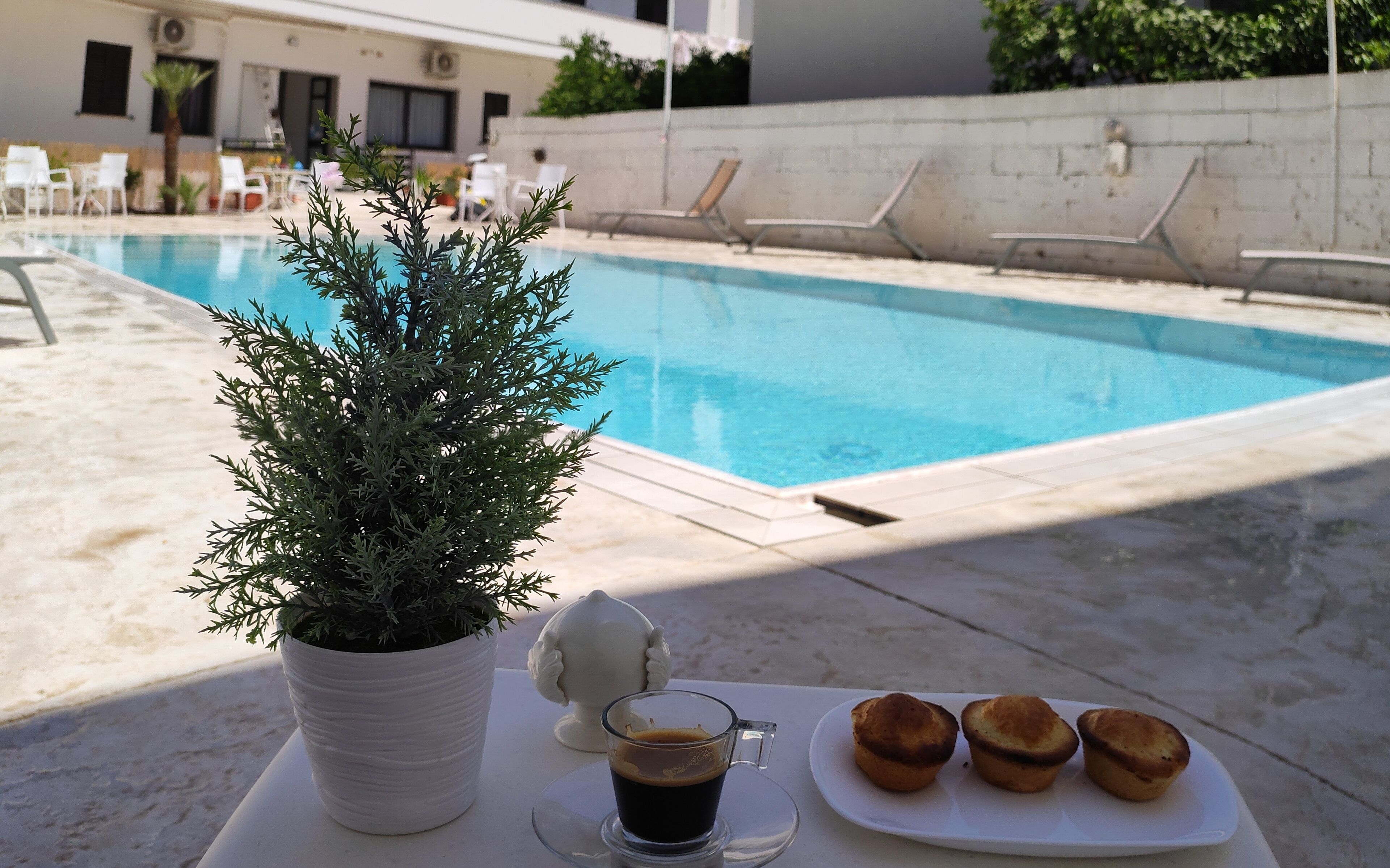 Un tavolino a bordo piscina con una pianta in vaso, una tazza di caffè e un piatto di muffin.