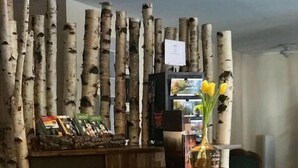 A reception desk with a wooden surface, a heart-shaped cutout in a tree stump, a vase with yellow flowers, and birch tree trunks in the background. - Spree-Waldhotel Cottbus (Cottbus)