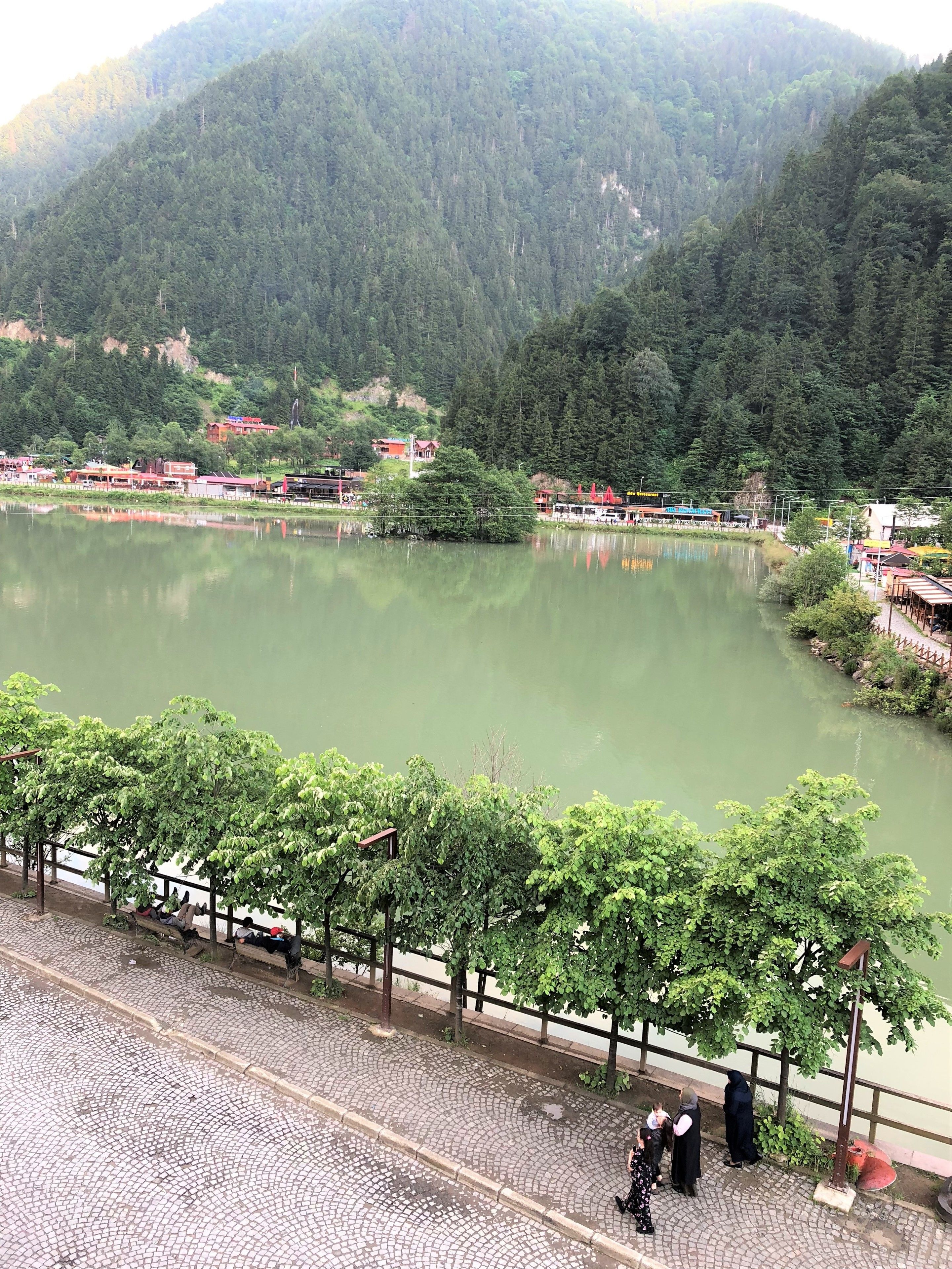 Blick auf einen Fluss mit gepflastertem Gehweg, Bäumen und Gebäuden im Hintergrund.