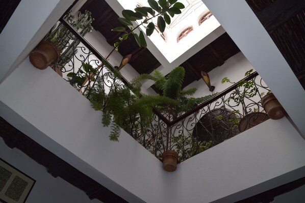 Interior - Riad Dar Lamane (Essaouira)