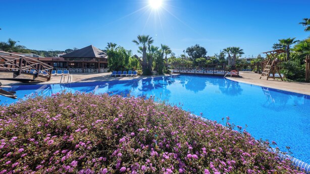 A clear blue pool surrounded by palm trees and purple flowers, with a wooden deck and a building in the background.