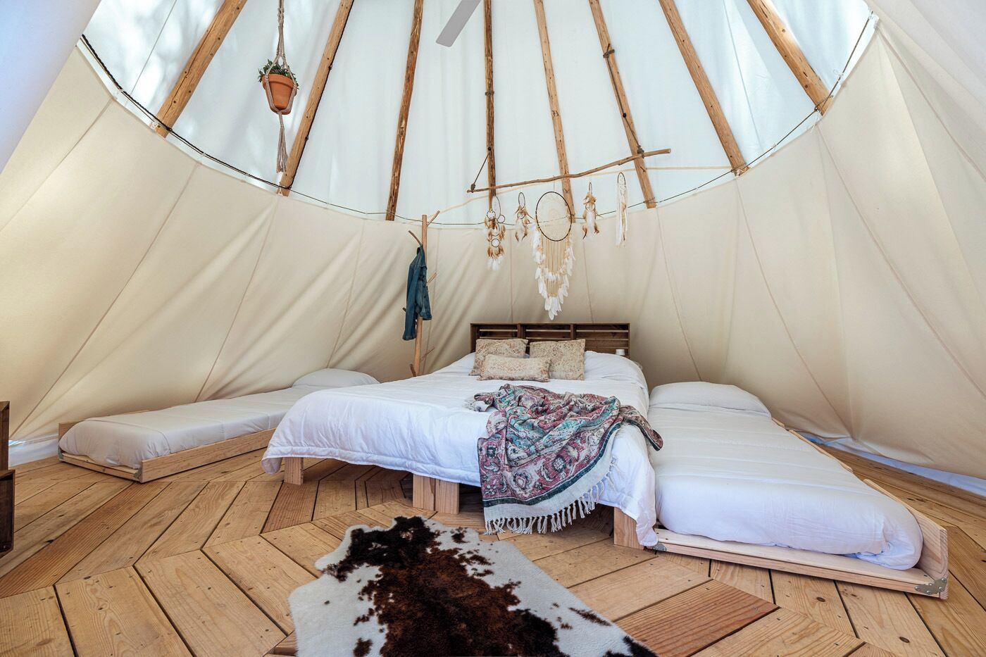 Interior acollidor d'una tenda rodona amb un llit, dues plataformes i una planta penjant.