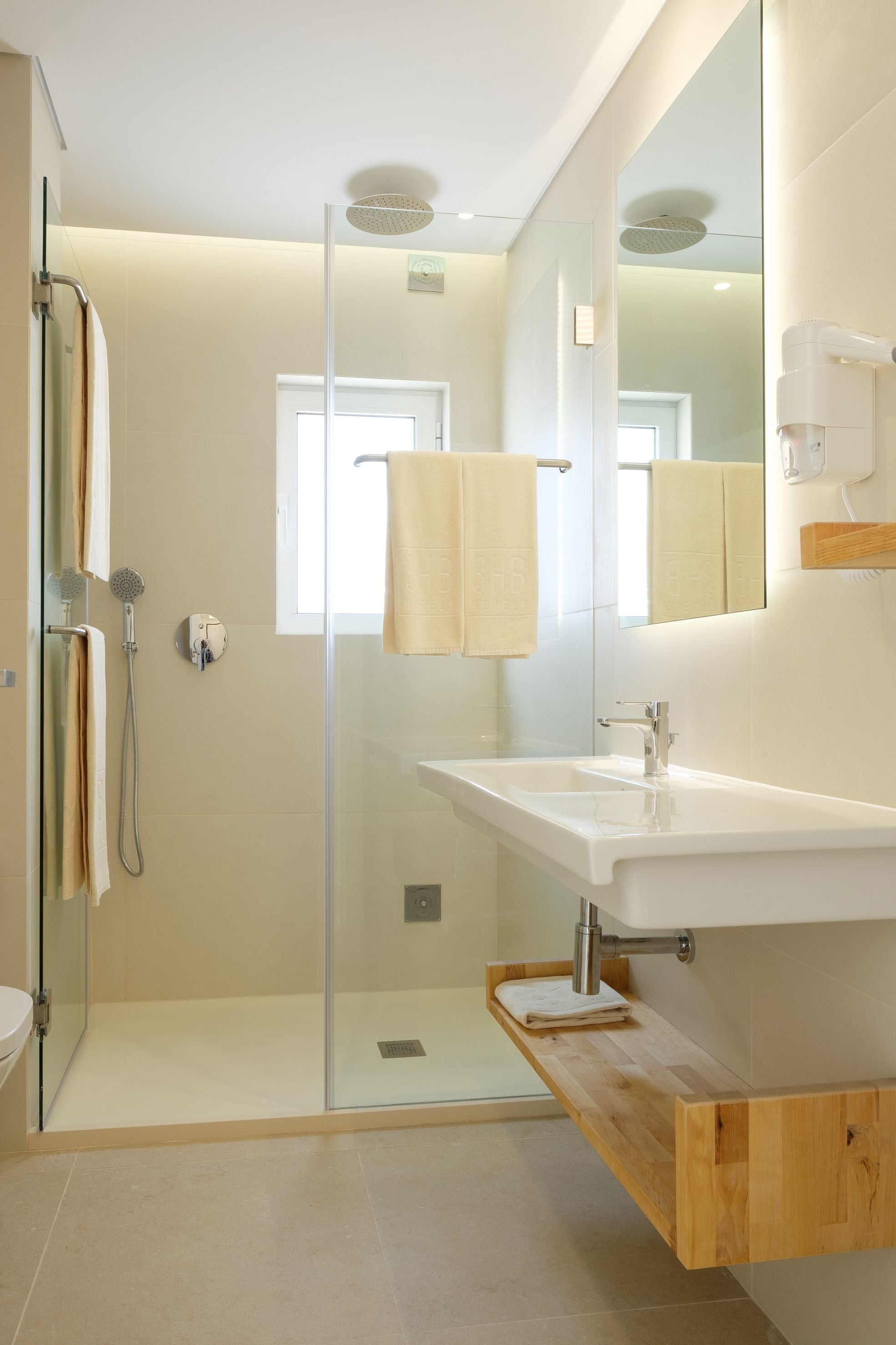 Hair dryer, bidet, towels