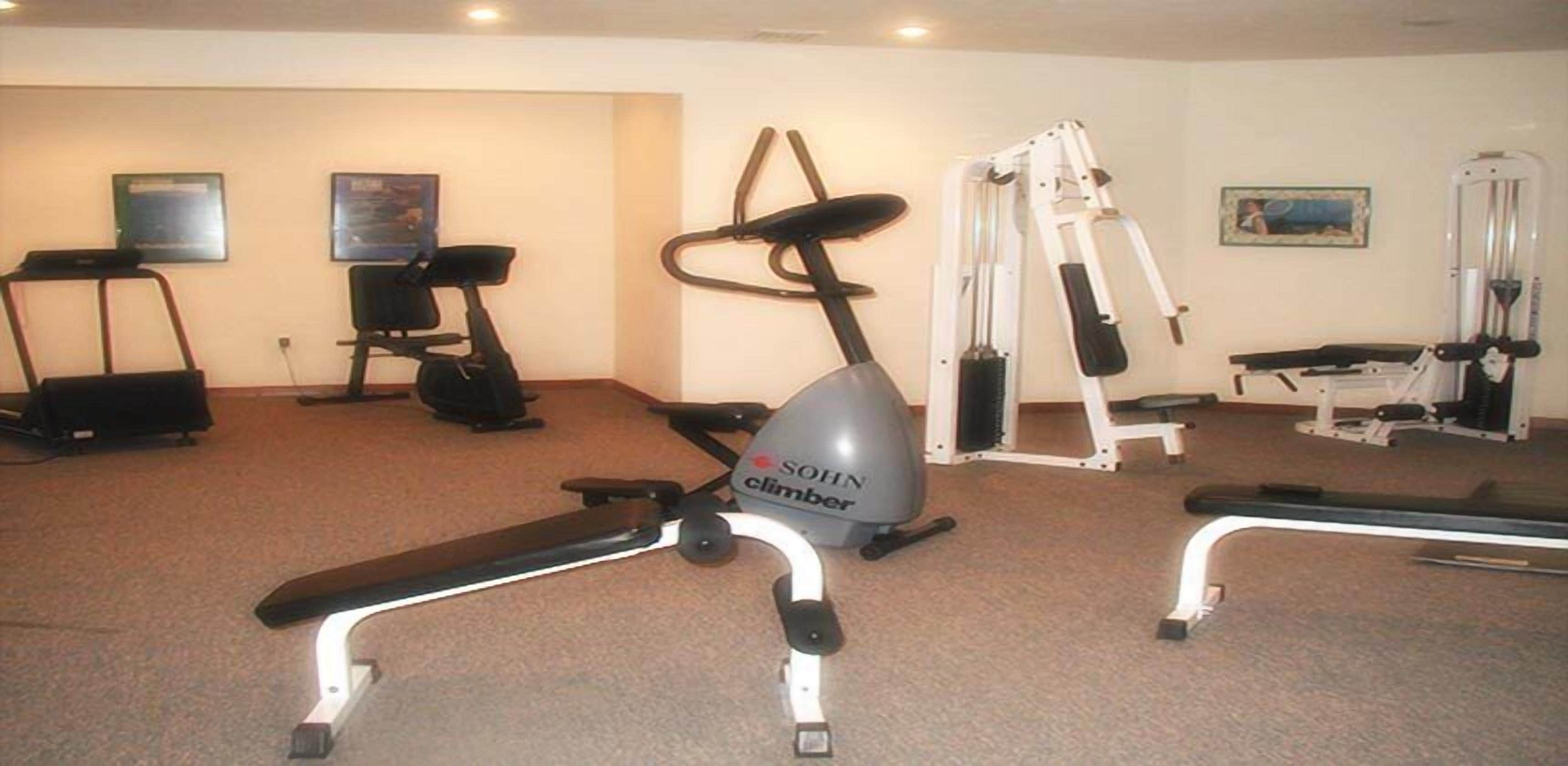 Un gimnasio con máquinas de cardio, equipo de entrenamiento de fuerza y un espejo.