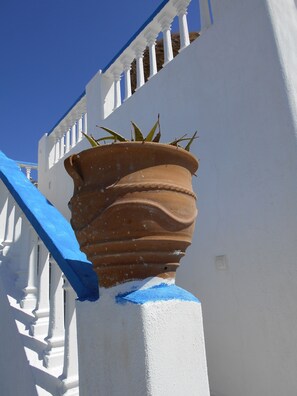 Property grounds - Studios Apartments Kapetanios (Santorini)