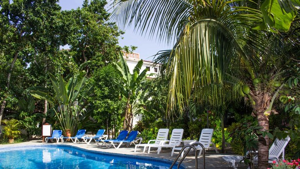Une piscine entourée de végétation tropicale, avec des chaises longues à proximité.