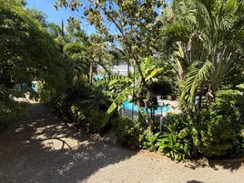 Un jardín con piscina, rodeado de exuberante follaje tropical.