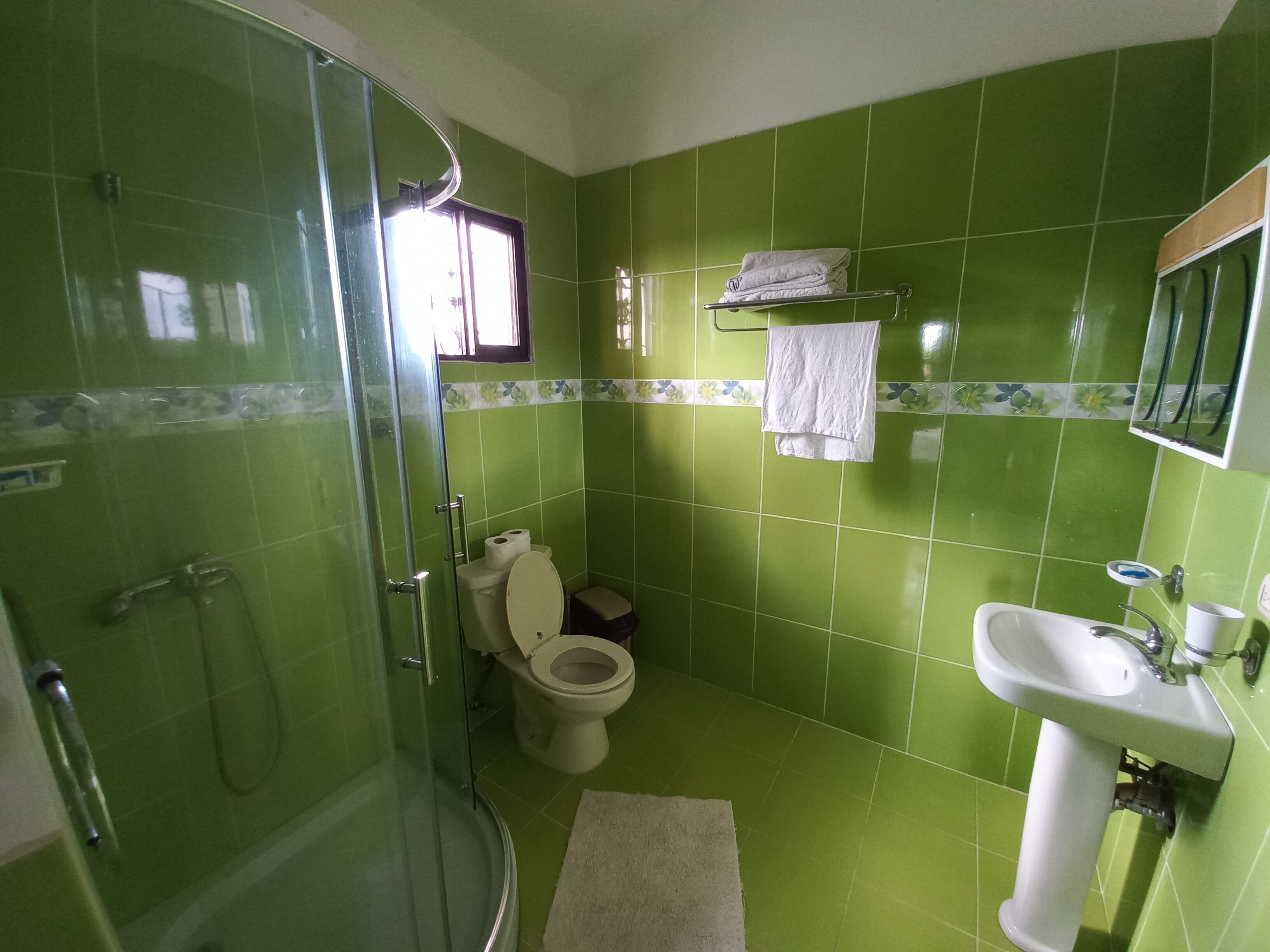 Une salle de bain avec des carreaux verts, une douche en verre, des toilettes, un lavabo et un porte-serviettes.