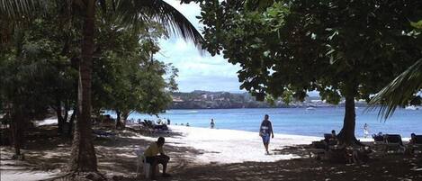 Una playa con palmeras, una zona arenosa y vista al mar.