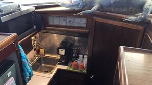 Eine Küche mit Krokodil-Dekoration auf der Arbeitsplatte, einer Kaffeemaschine und einem Kühlschrank.