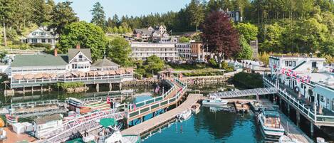 A waterfront hotel with multiple docked boats, a pier, and a view of the surrounding forested area.