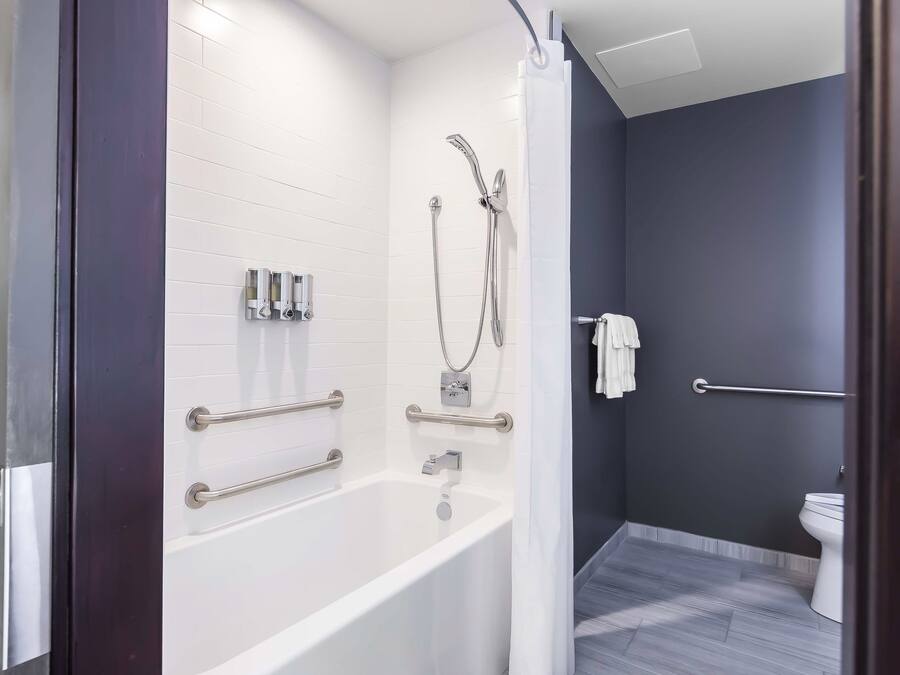 Une salle de bain moderne avec une baignoire blanche, une douche équipée d’un pommeau de douche à main et des toilettes.