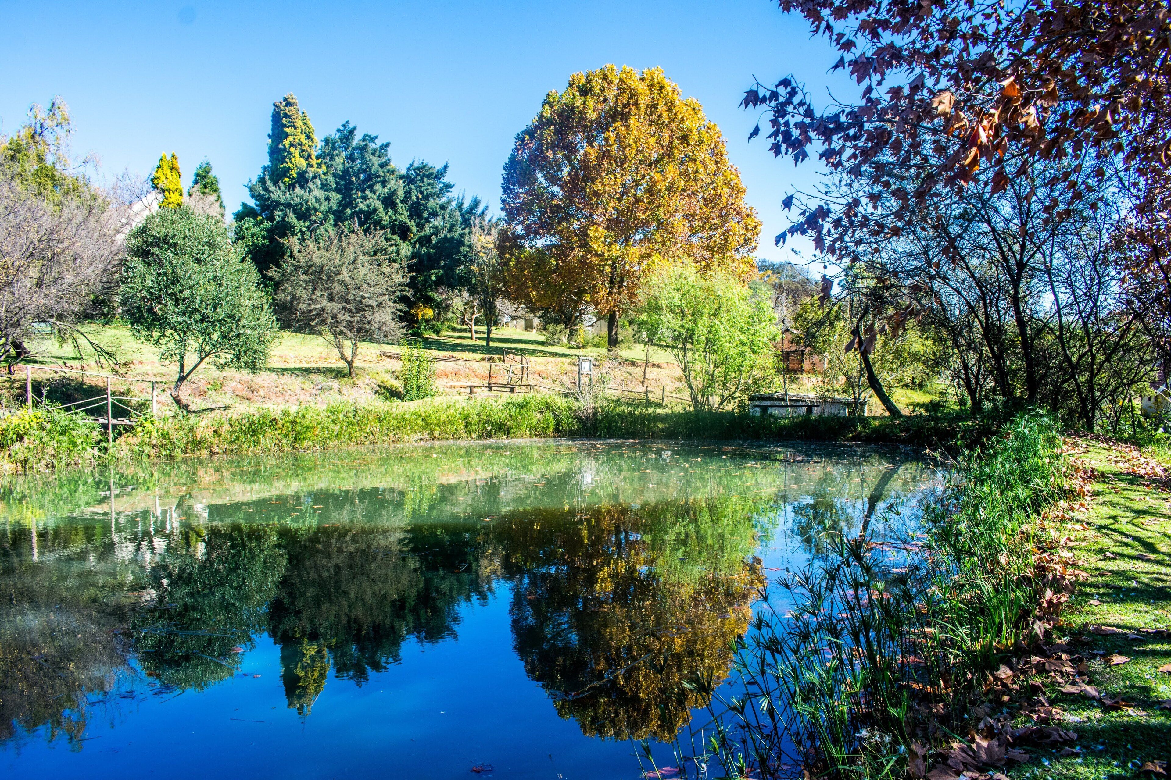 A serene pond surrounded by trees and a wooden fence.