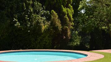 Relax by the serene pool surrounded by lush greenery and tall trees.