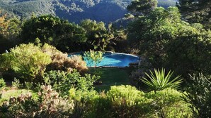 A pool surrounded by lush greenery and trees, set in a mountainous area. - Paradise Cove Country House (Wilderness)