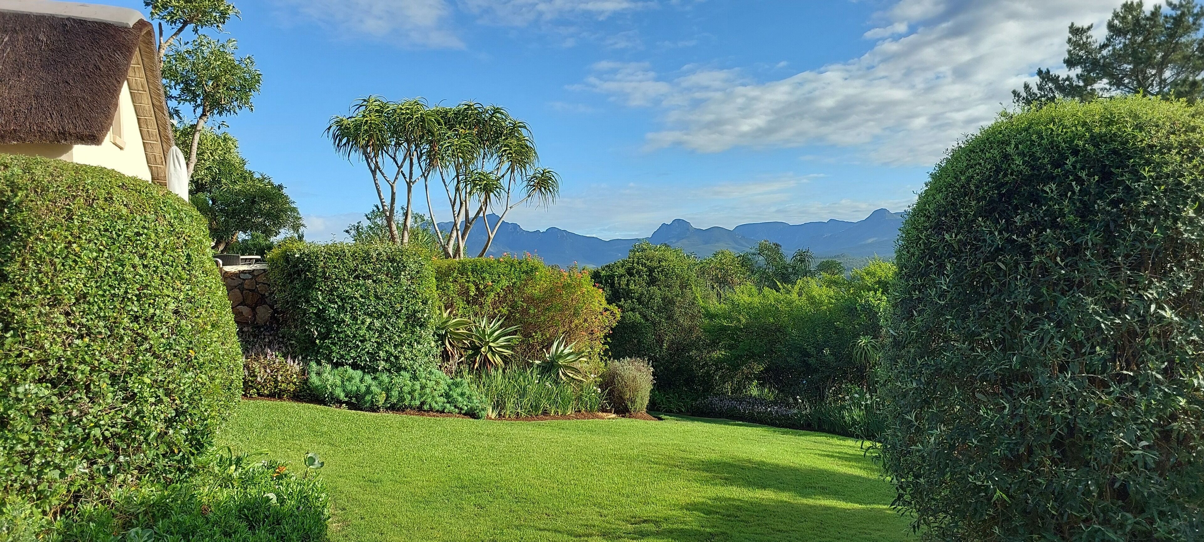 A well-maintained garden with neatly trimmed hedges, a variety of shrubs, and a clear view of distant mountains.