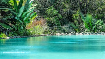 Outdoor pool, sun loungers