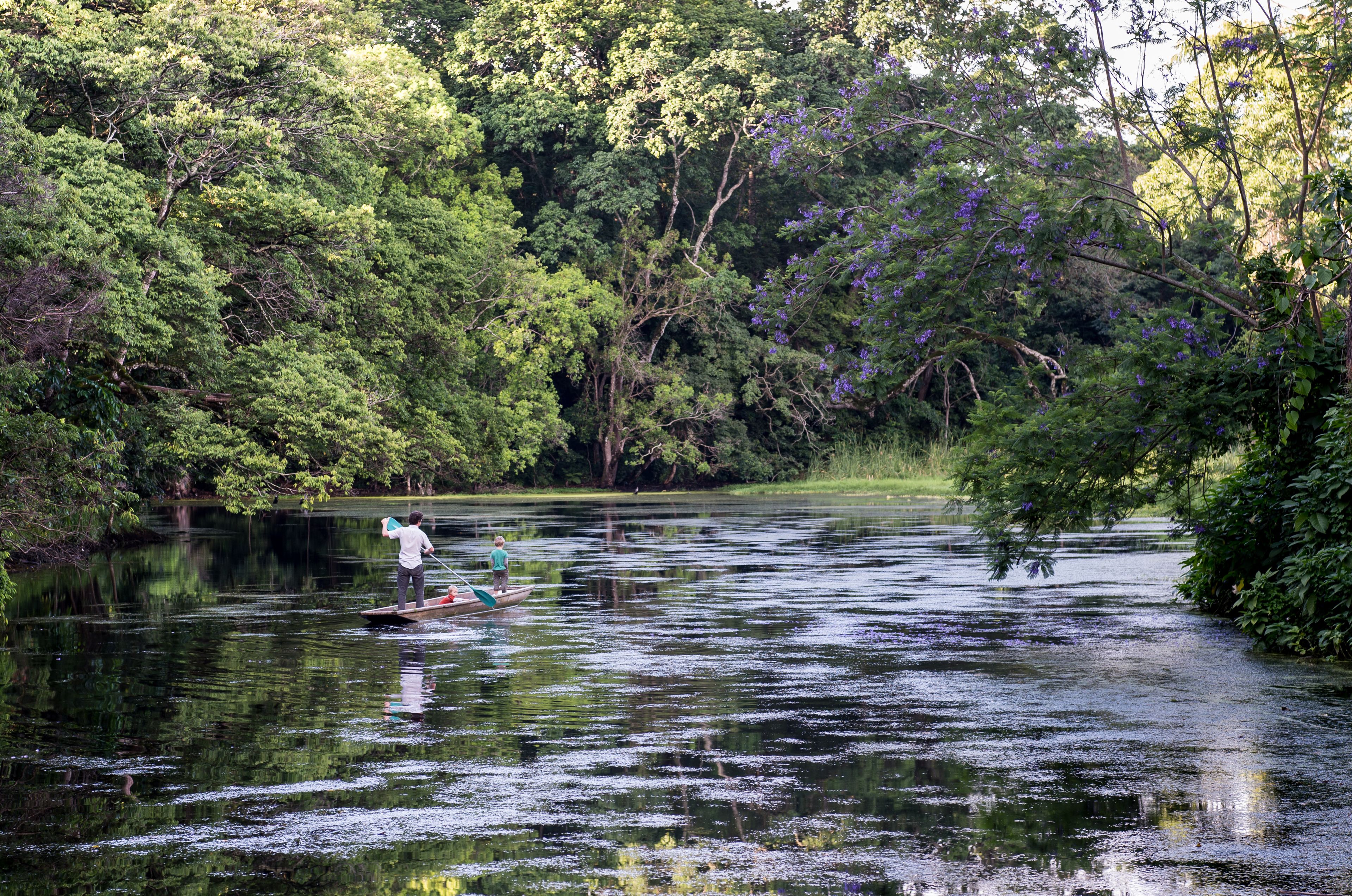 A river with dense foliage on both sides, a person in a boat, and another person standing on the shore.