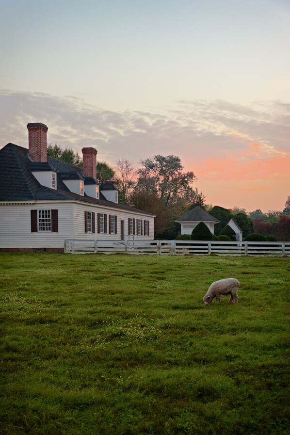 A white colonial-style house with a fenced yard and a sheep grazing. - Colonial Houses, an Official Colonial Williamsburg Hotel (Williamsburg)