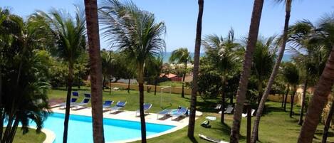 Outdoor pool, sun loungers