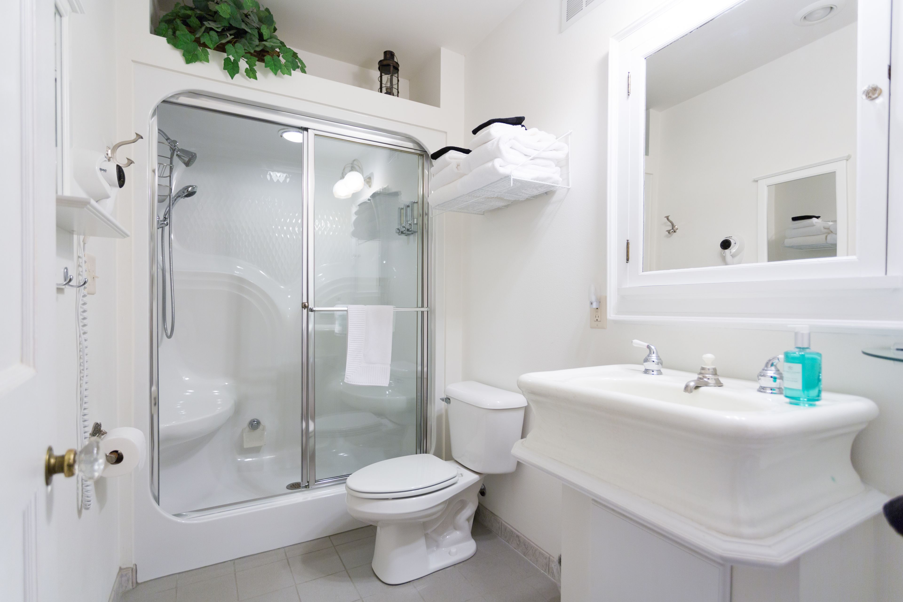 Un bagno con doccia vetro, un water bianco e un lavandino con specchio sopra.