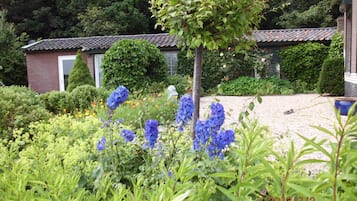 Stroll through a serene garden featuring a variety of plants and flowers, surrounded by a traditional brick building.
