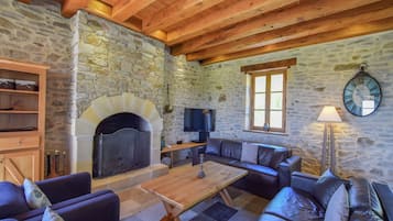 Télévision, cheminée, lecteur de DVD