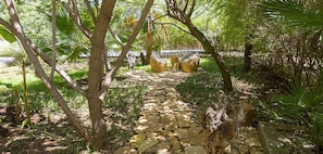 Property grounds - Villas Taos retreat Marrakech (Marrakech)
