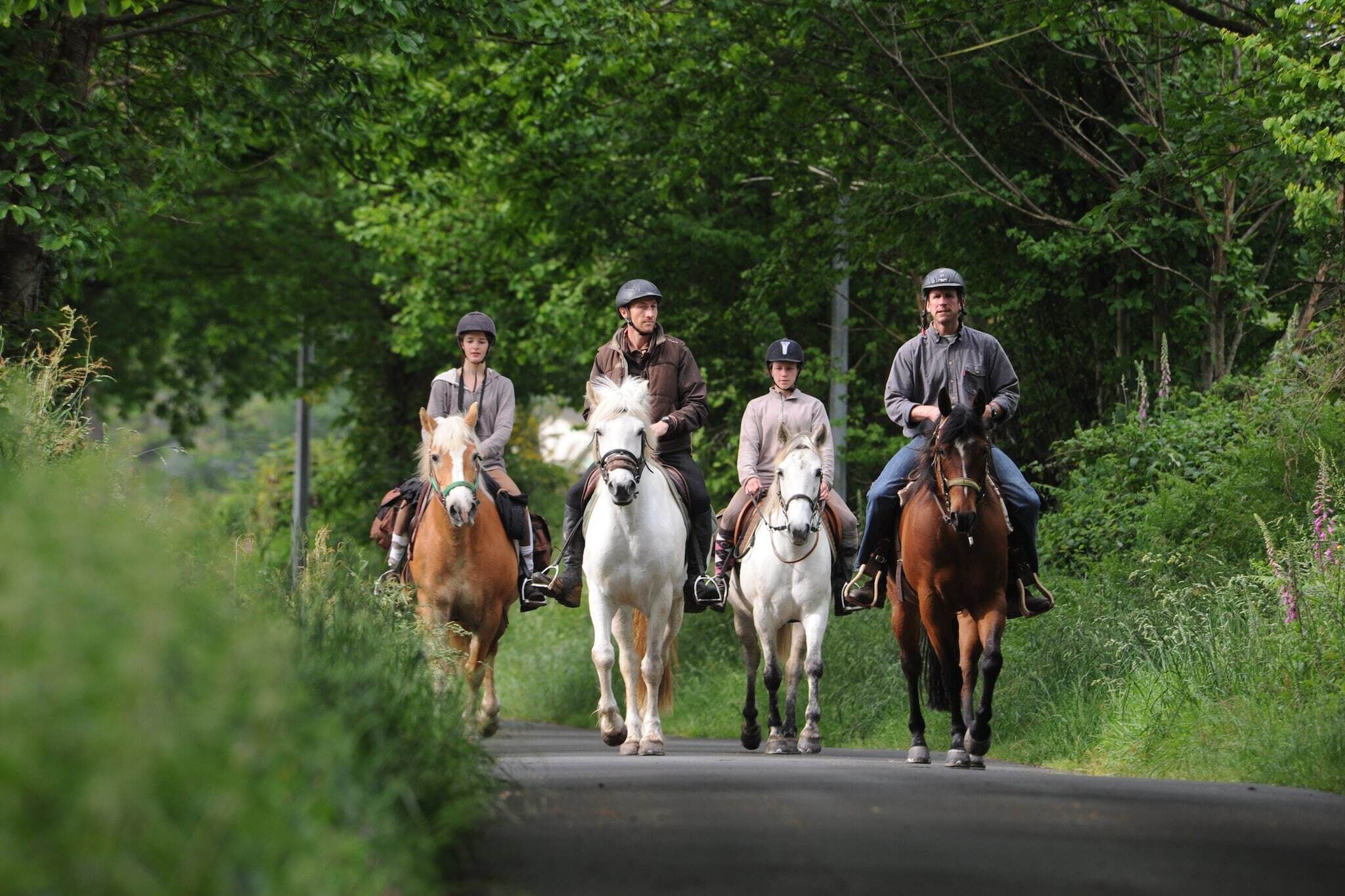 Quattro cavalieri a cavallo su una strada stretta immersa nel verde.