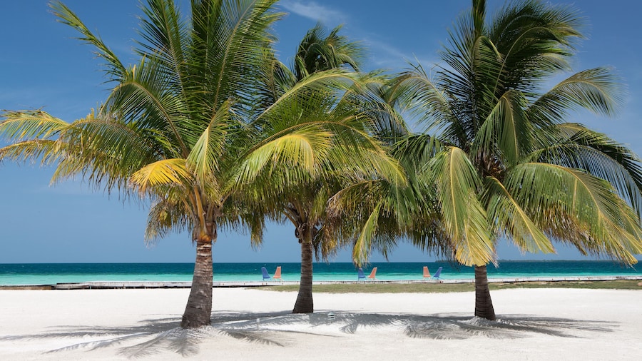 Royal Belize, a Muy'Ono Resort