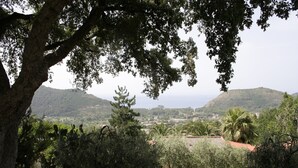 Unclassified image, 4 of 38, button - Romantic Escape w/ Terrace (Palinuro)