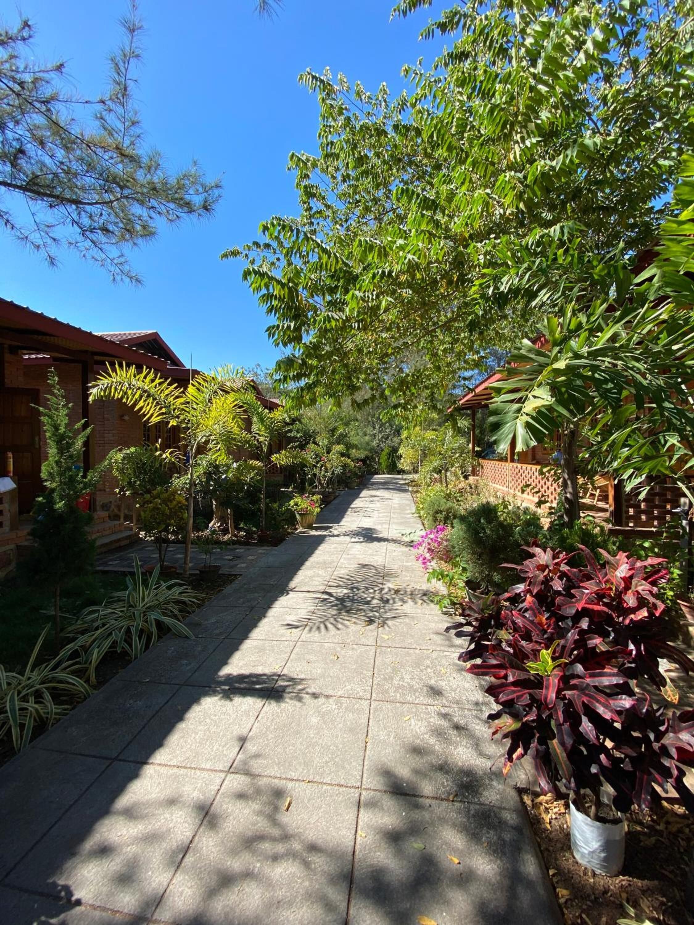 A pathway lined with various plants and trees, leading to a building with a red roof.