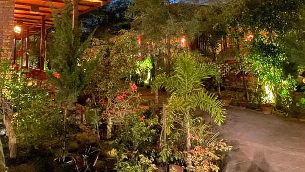 A well-lit garden with various potted plants and a large tree. - Trinity Family Inn (Nyaungshwe)