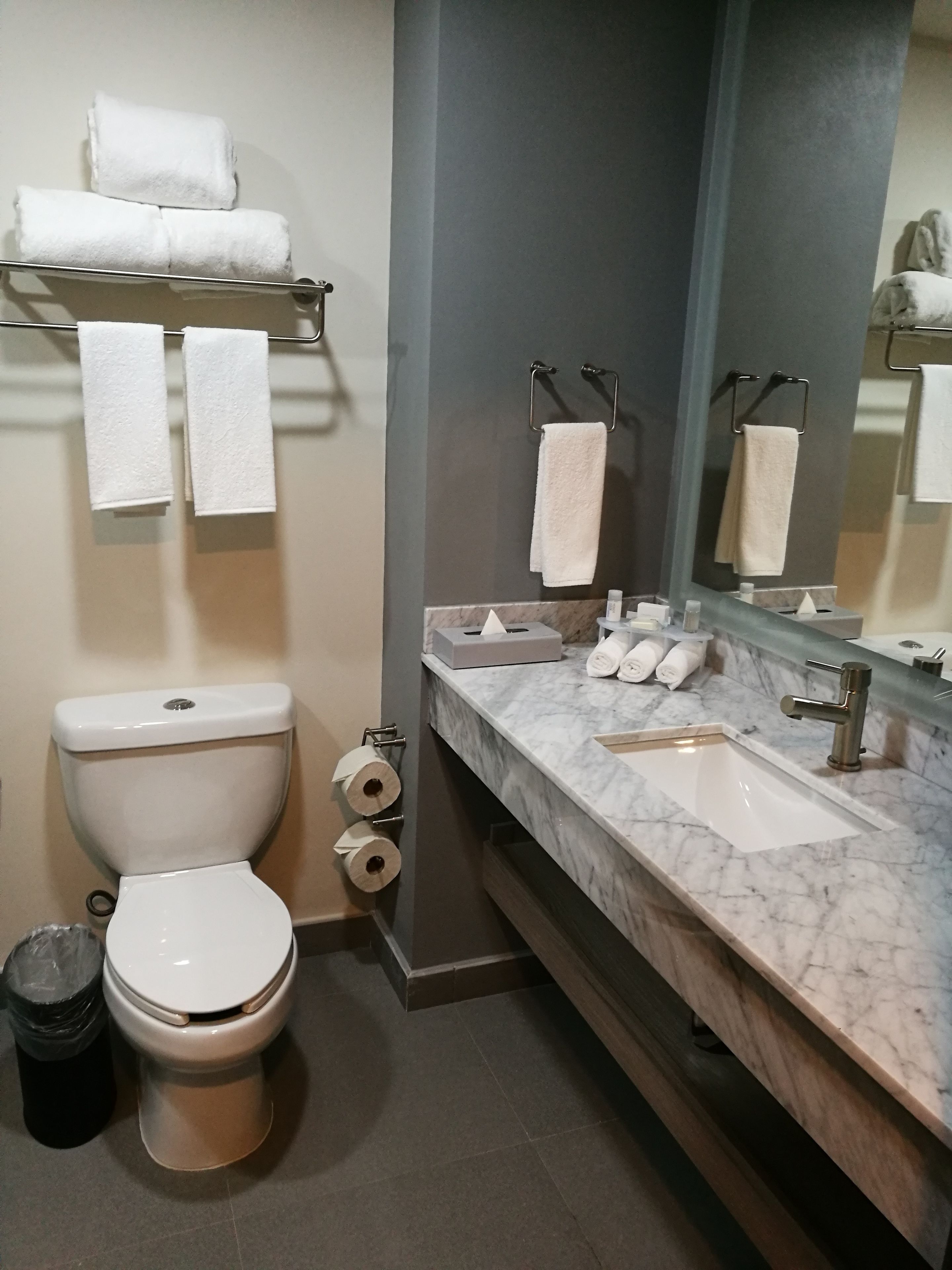 Un baño con inodoro, lavamanos y toallero.