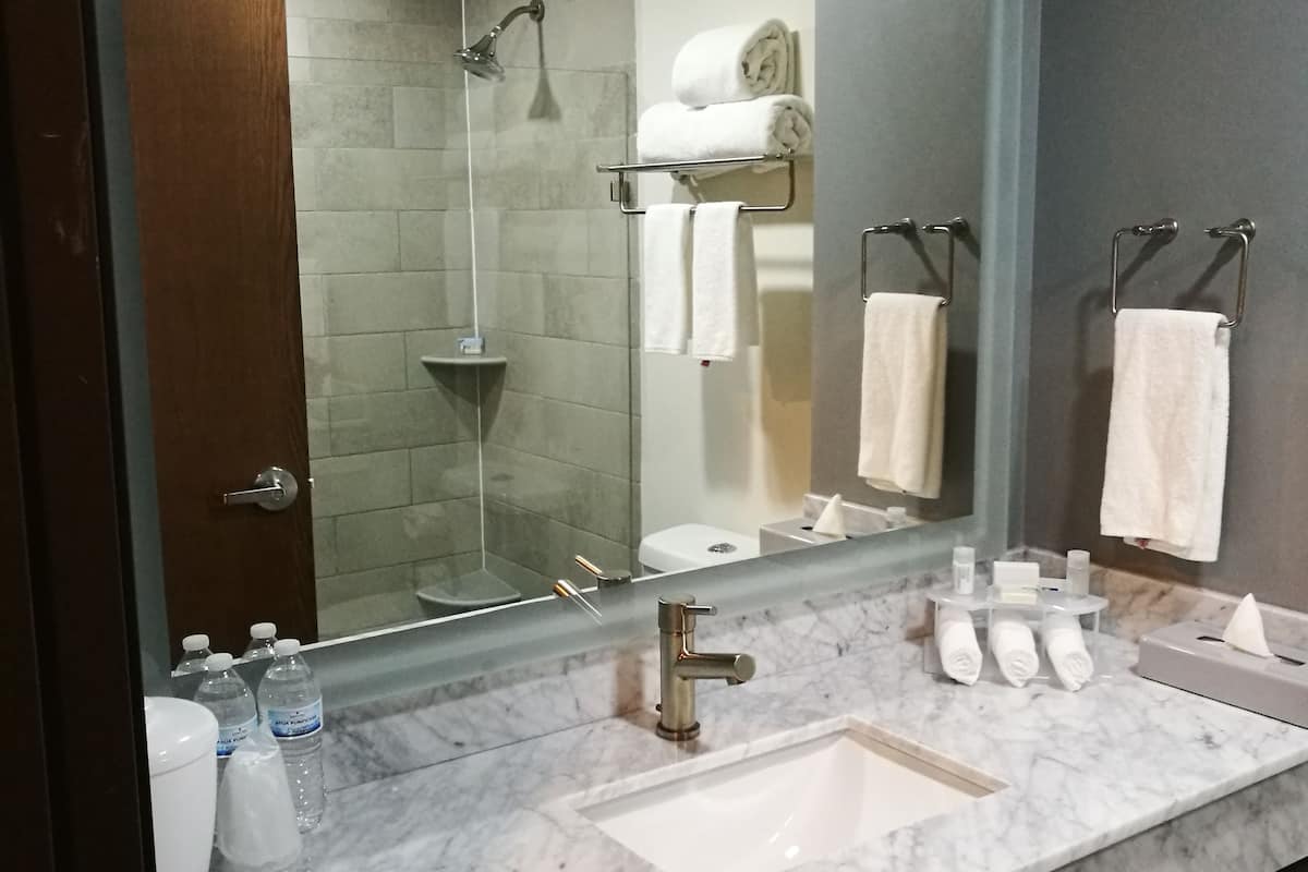 standard room | bathroom | towels