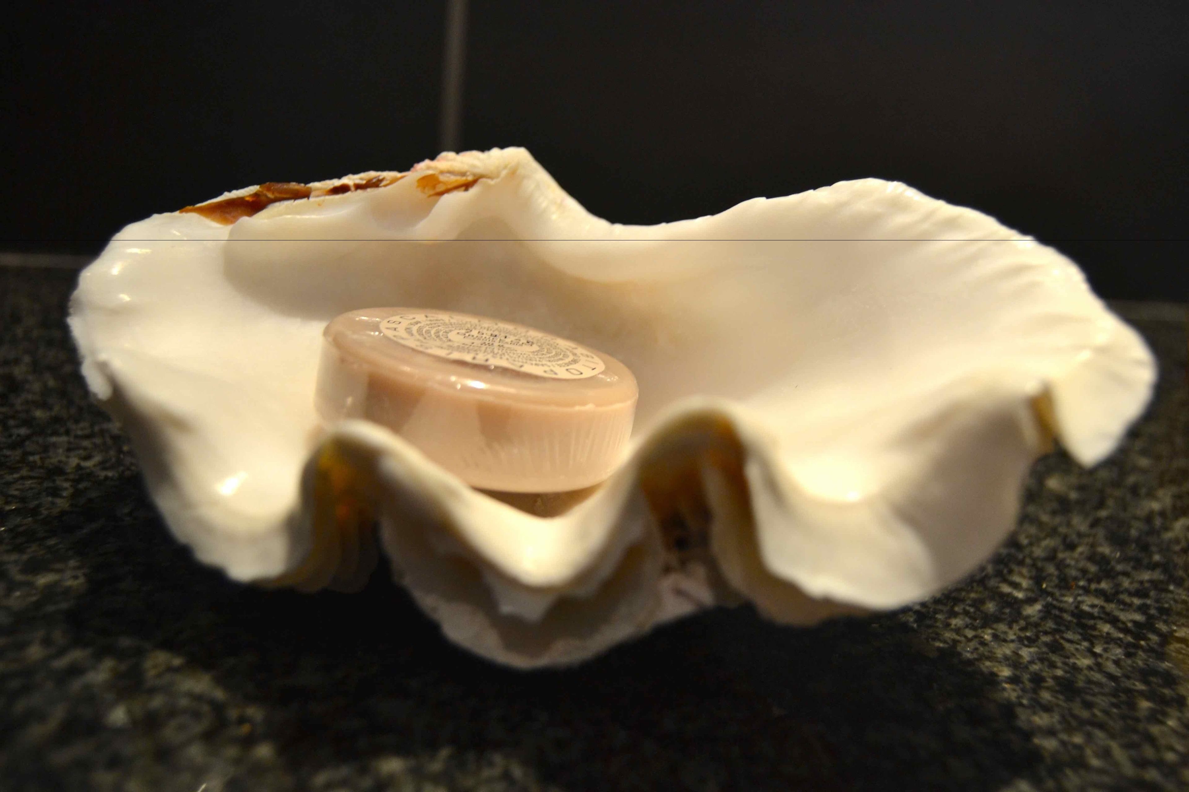 Photo - La Belle Tortue